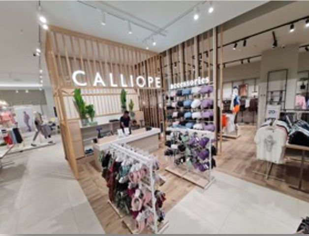 The shopping experience